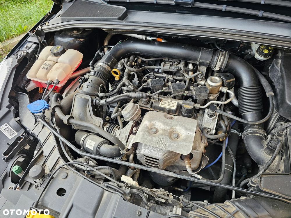 Ford Focus 1.0 EcoBoost SYNC Edition ASS - 11