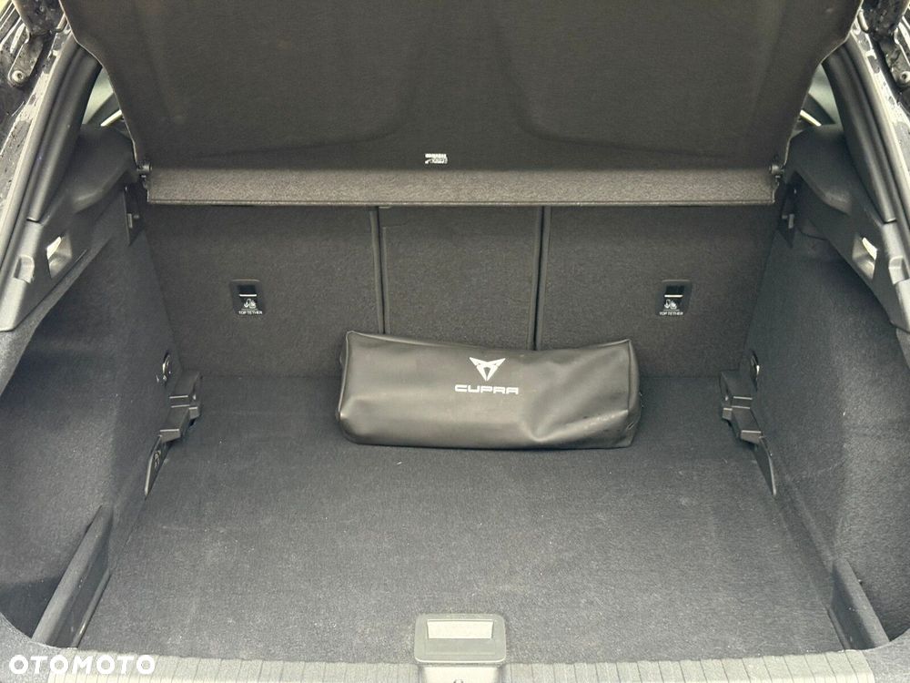 Cupra Terramar - 14