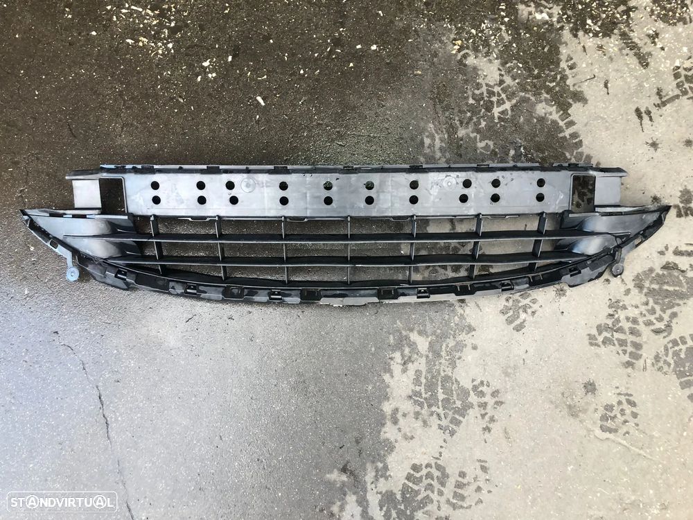 PEUGEOT 207 GRELHA PARA CHOQUES FRENTE - G087 - 1