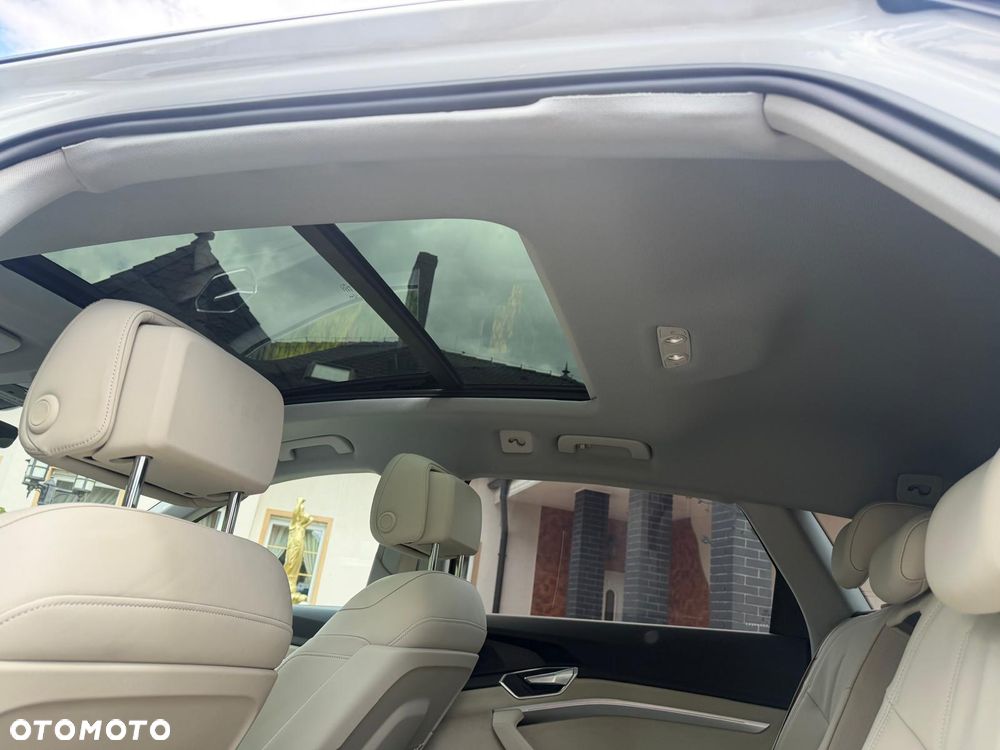 Audi e-tron 55 Quattro - 31