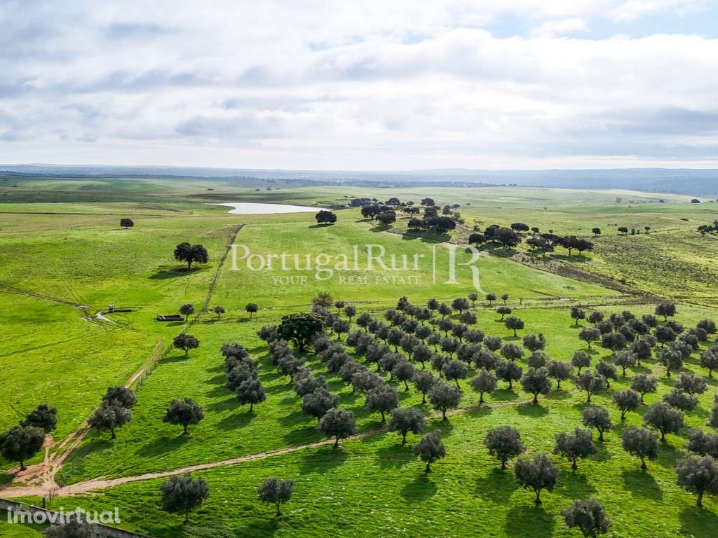 Herdade com 56 Hectares com Aptidão para Turismo - Grande imagem: 5/60