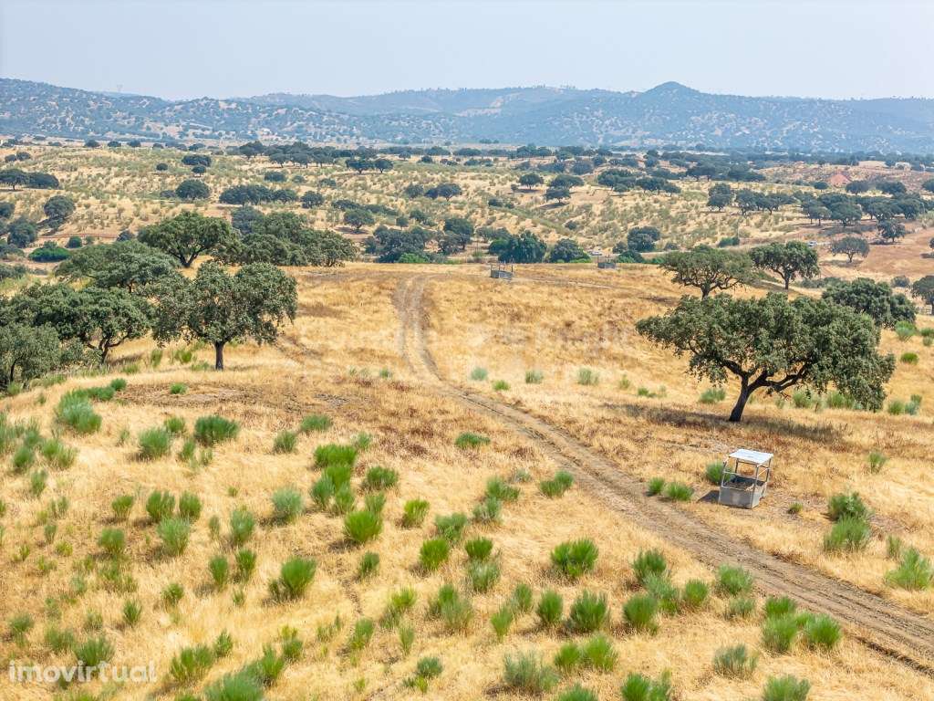 Herdade de 152 hectares em Marmelar, Alentejo - Grande imagem: 4/38