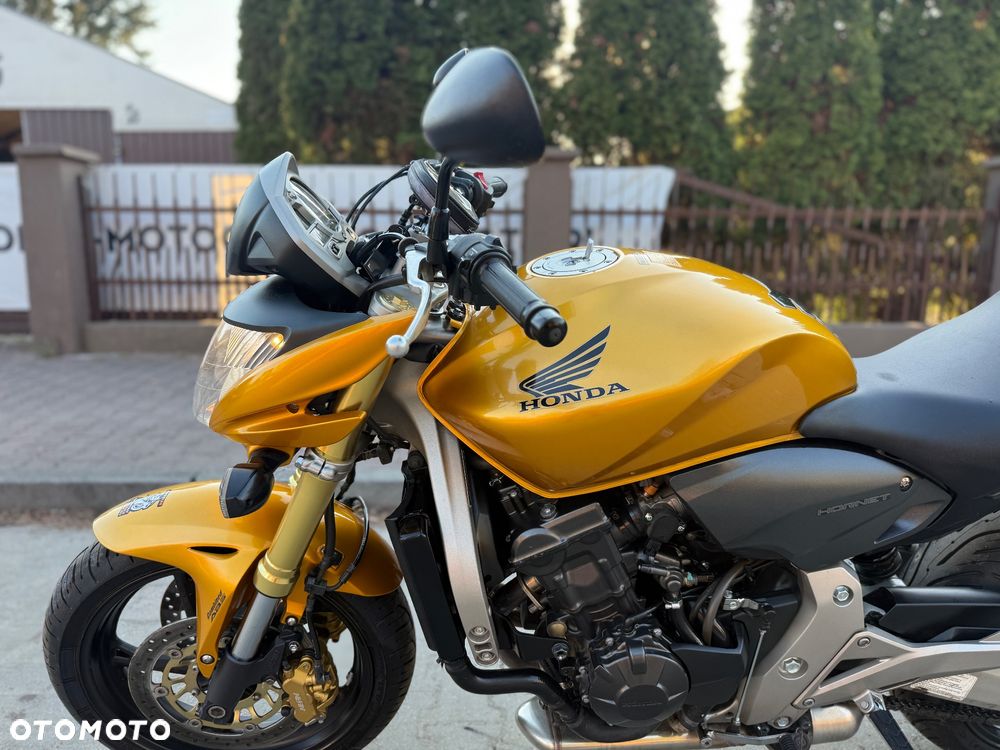 Honda Hornet - 20