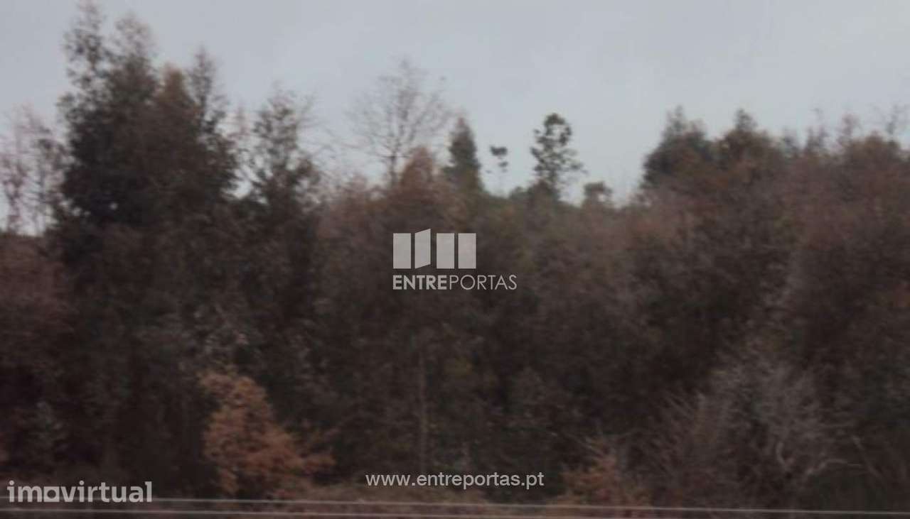 Venda Terreno, Banho e Carvalhosa, Marco de Canaveses - Grande imagem: 3/30