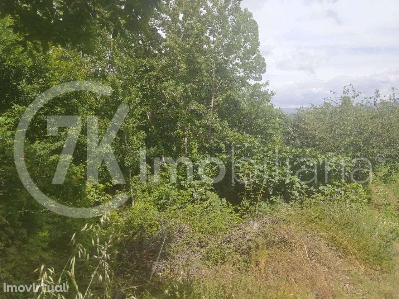 Quinta, Paredes de Viadores, Marco de Canaveses - Grande imagem: 2/3