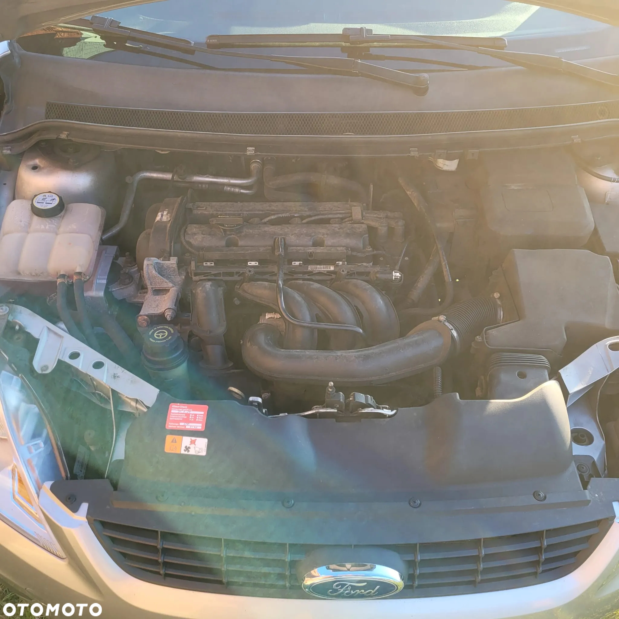 Ford Focus - 19