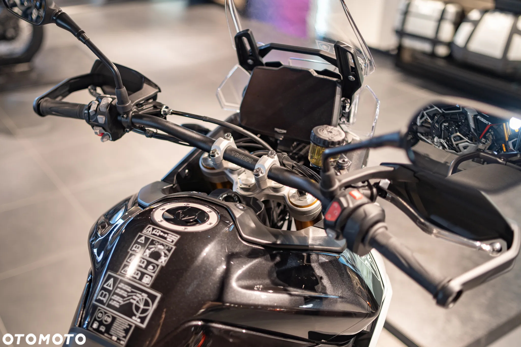 Triumph Tiger - 23