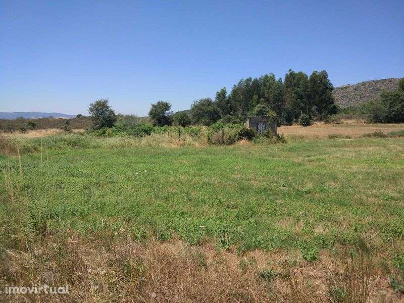 Quinta em terreno rústico 5 ha Belmonte Gare - Grande imagem: 3/12