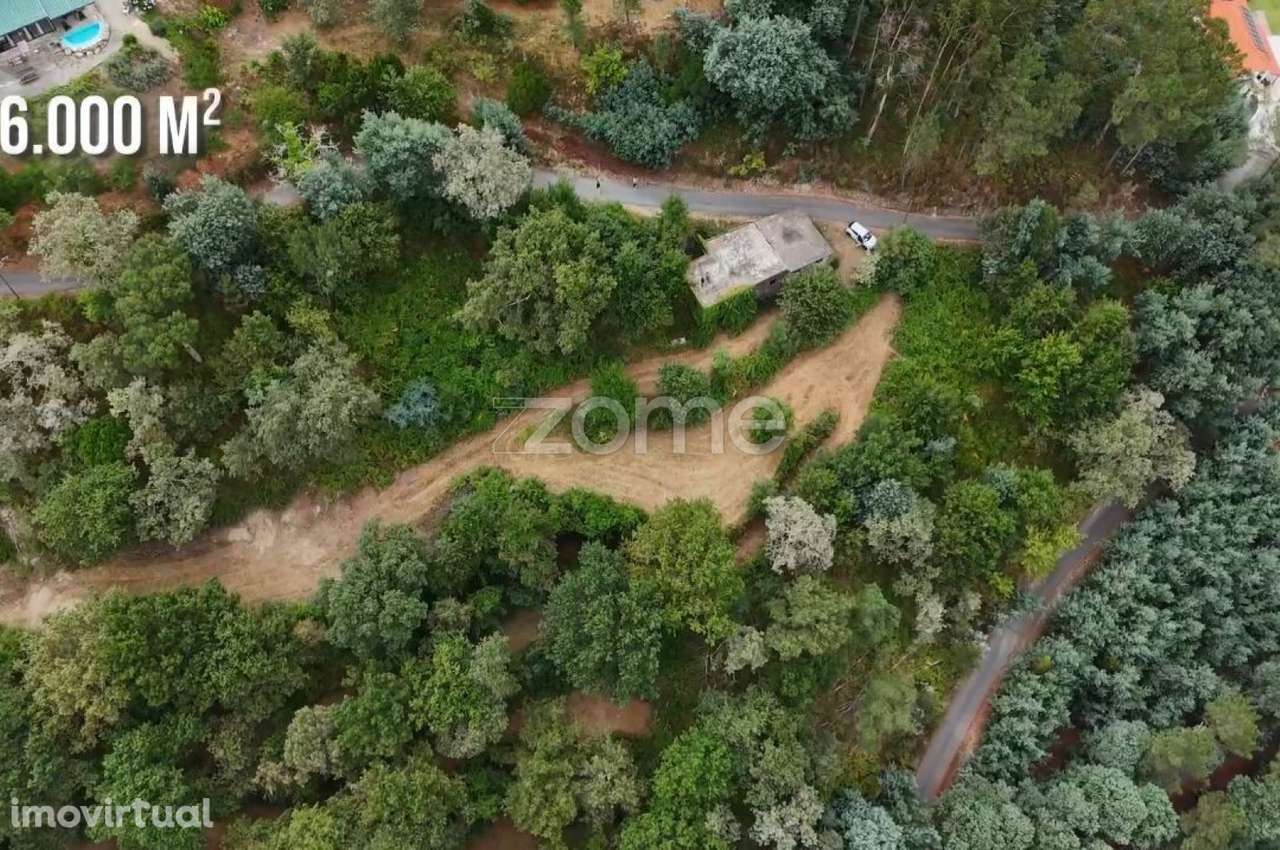 Terreno à Venda - Gerês - Grande imagem: 2/2