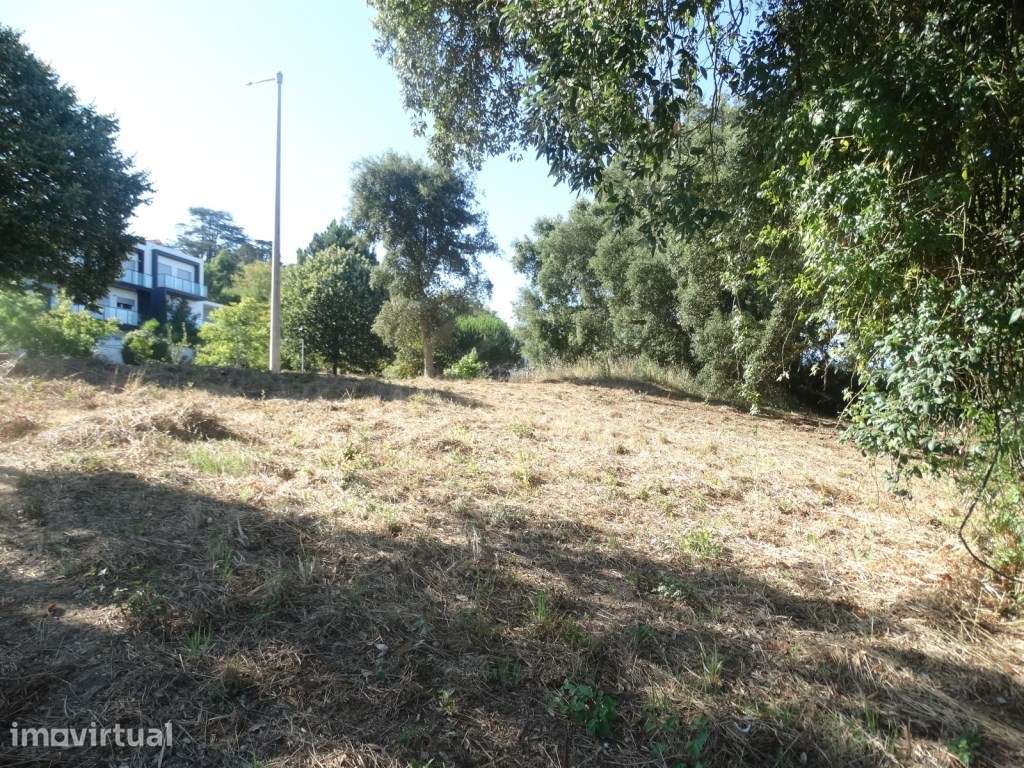 Lote de terreno para construção, Barreira, Leiria - Grande imagem: 3/5
