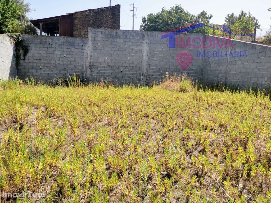 Terreno murado em Adega, Pedrogão Grande - Grande imagem: 5/10