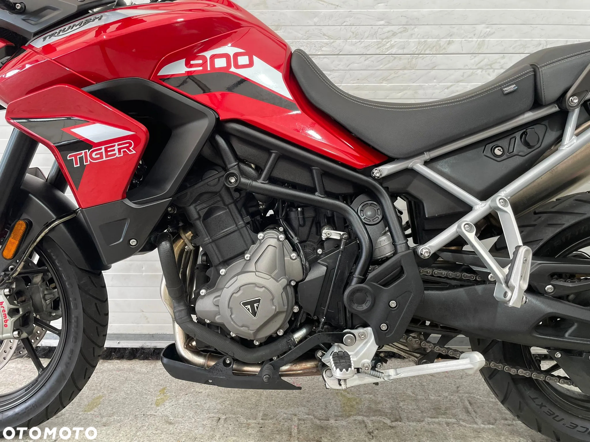 Triumph Tiger - 19