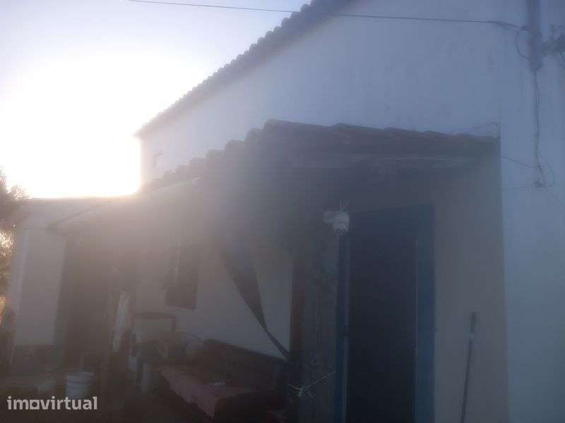 Quinta com barracao agricola Abrantes - Grande imagem: 3/7