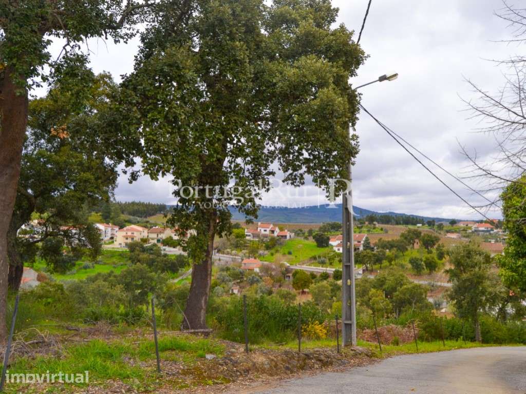 Lote com 2.017 m² para construção em Proença-a-Nova - Grande imagem: 5/10