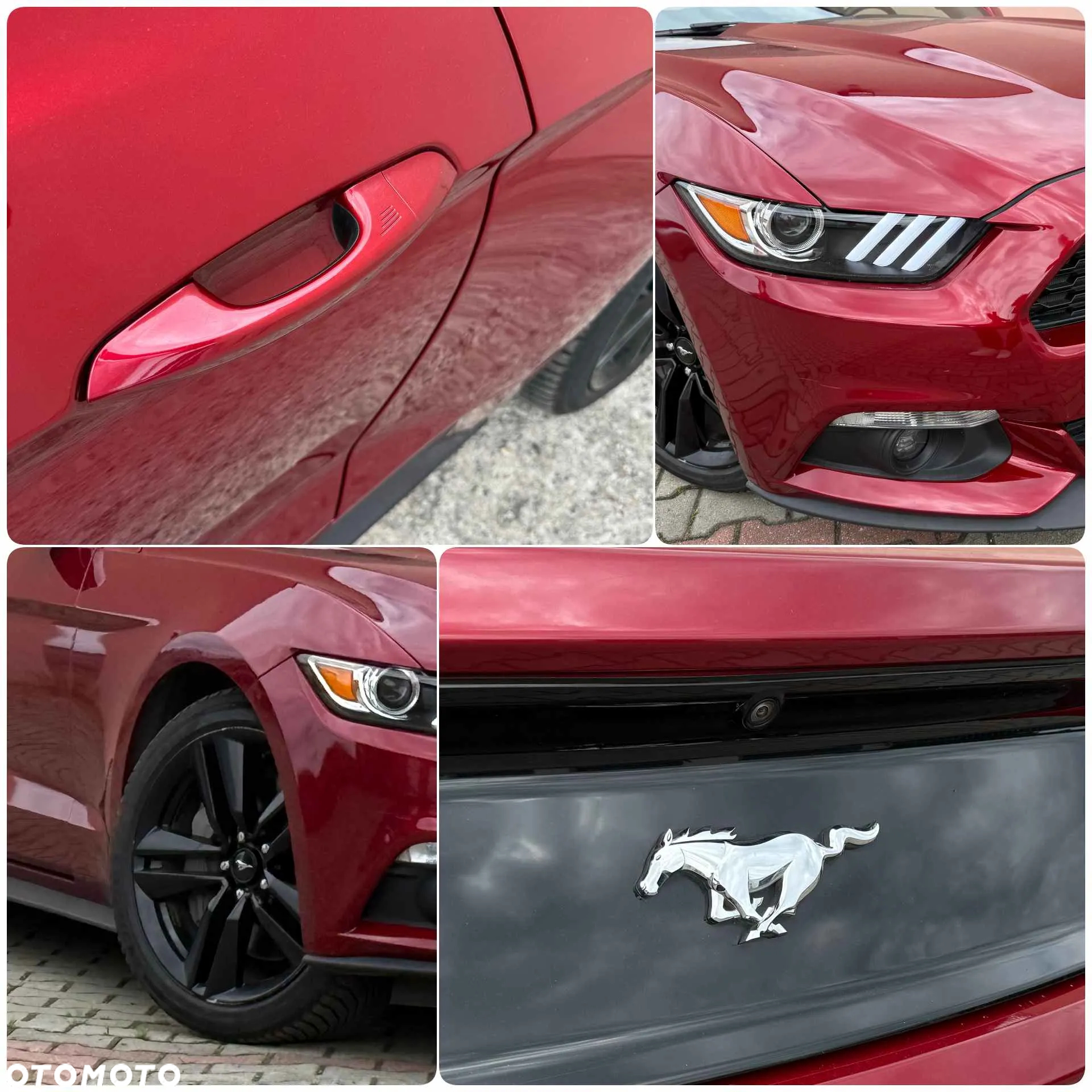 Ford Mustang 2.3 EcoBoost - 9