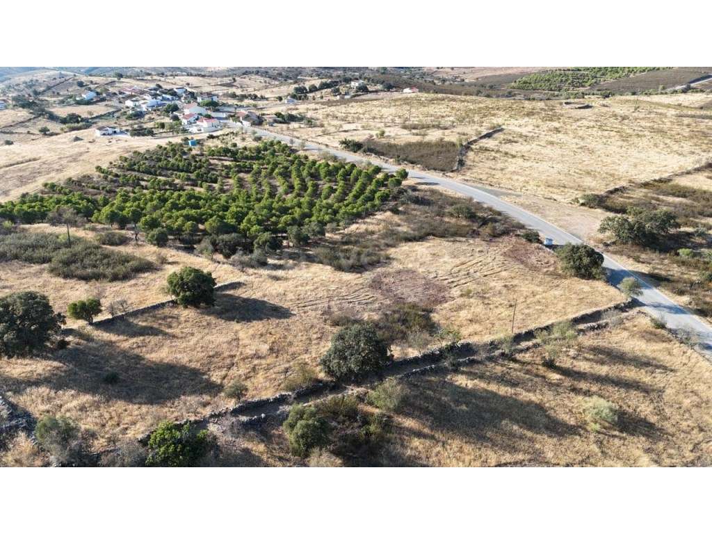 Terreno urbanizavel - Cerro da vinha, Alcoutim - Grande imagem: 3/8