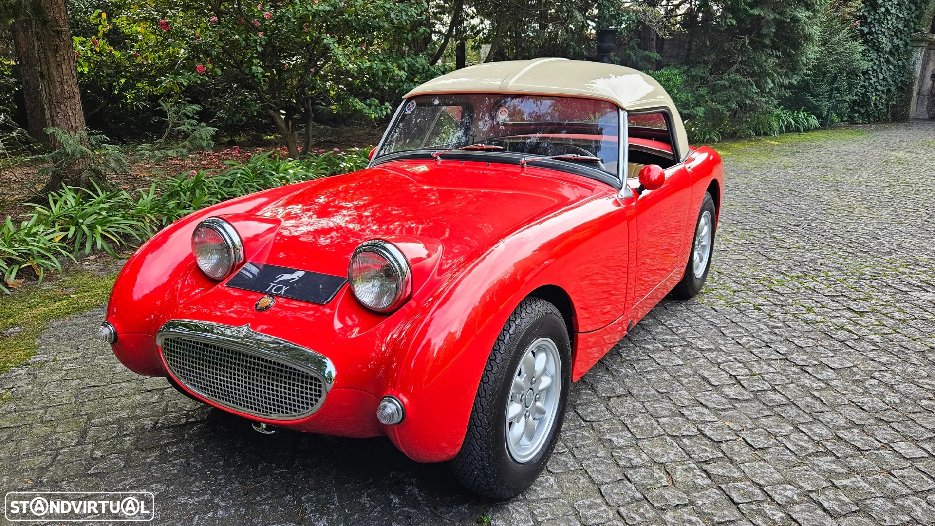 Austin Healey Sprite Mk I - 7