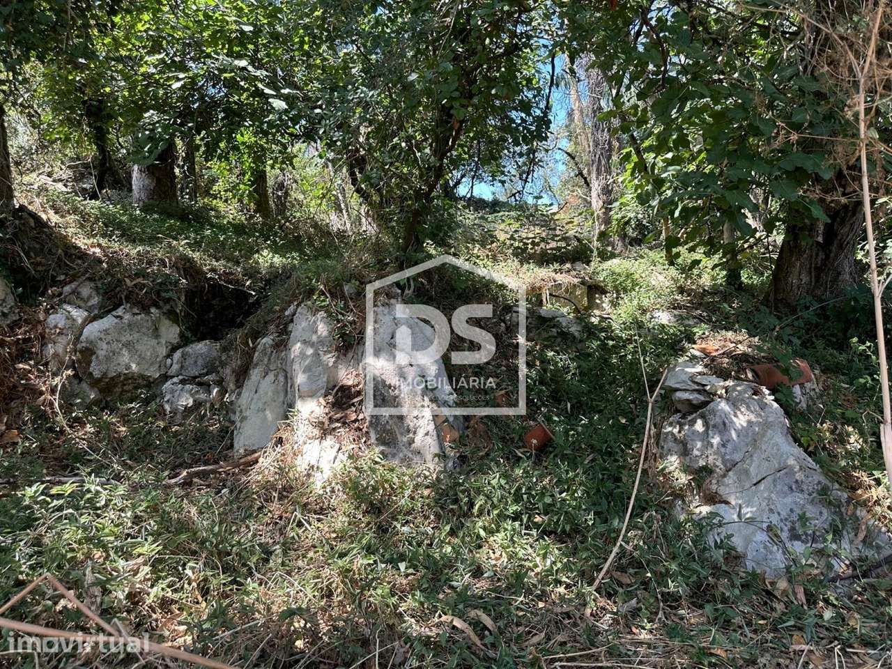 Moradia Devoluta T2 Venda em Arrimal e Mendiga,Porto de Mós - Grande imagem: 4/23