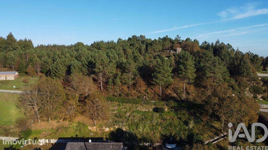 Terreno em Moledo de 9040,00 m2 - Grande imagem: 3/18