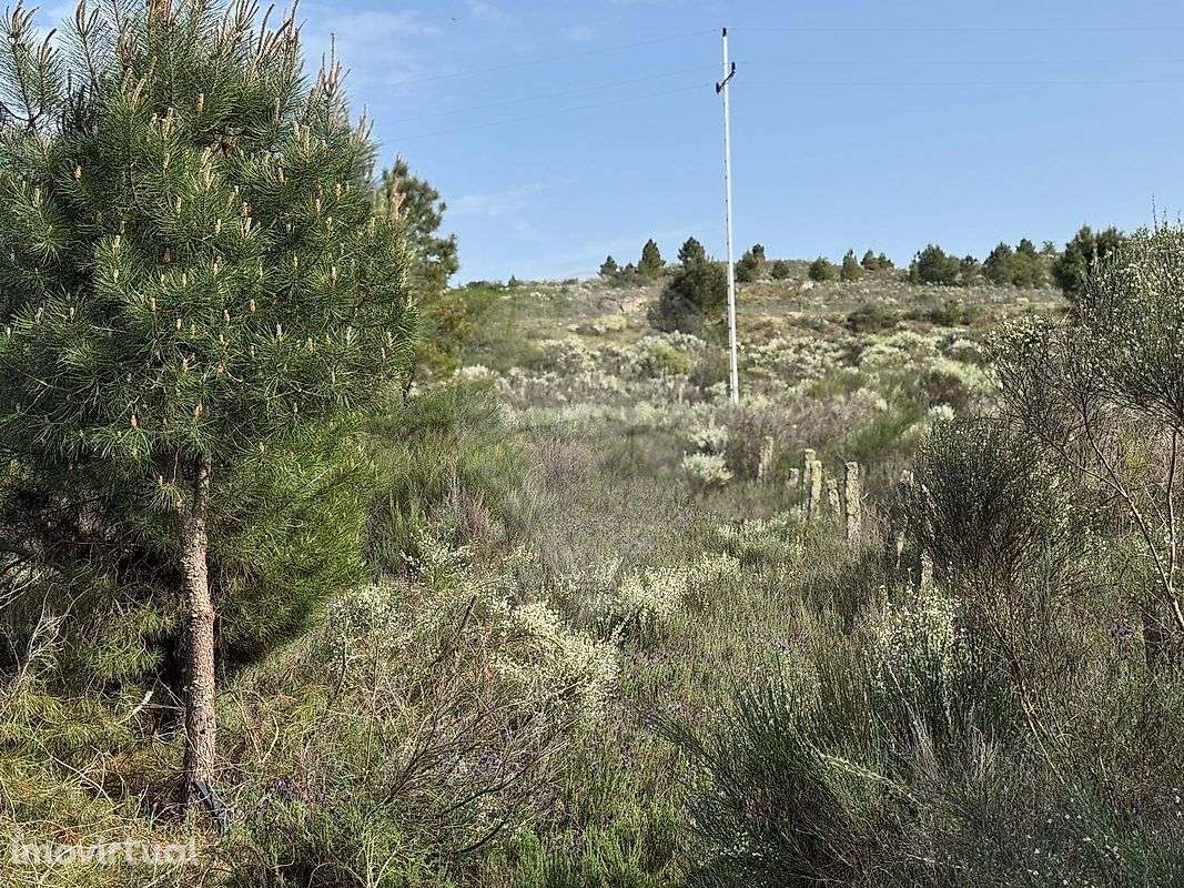 Terreno  para venda - Grande imagem: 4/6