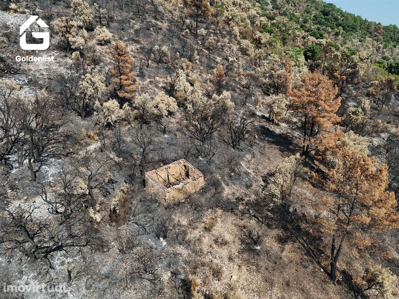 Quinta T0 Venda em Espírito Santo, Nossa Senhora da Graça e São Simão, - Grande imagem: 5/16