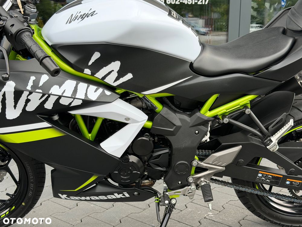 Kawasaki Ninja - 30