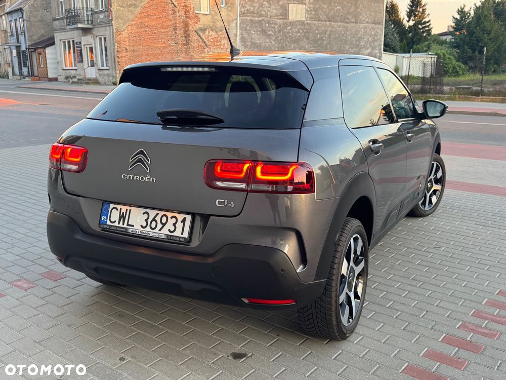 Citroën C4 Cactus 1.2 PureTech Shine S&S - 12