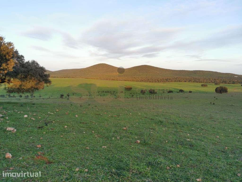 Herdade em Vila Verde de Ficalho, com cerca de duzentos hectares - Grande imagem: 3/60