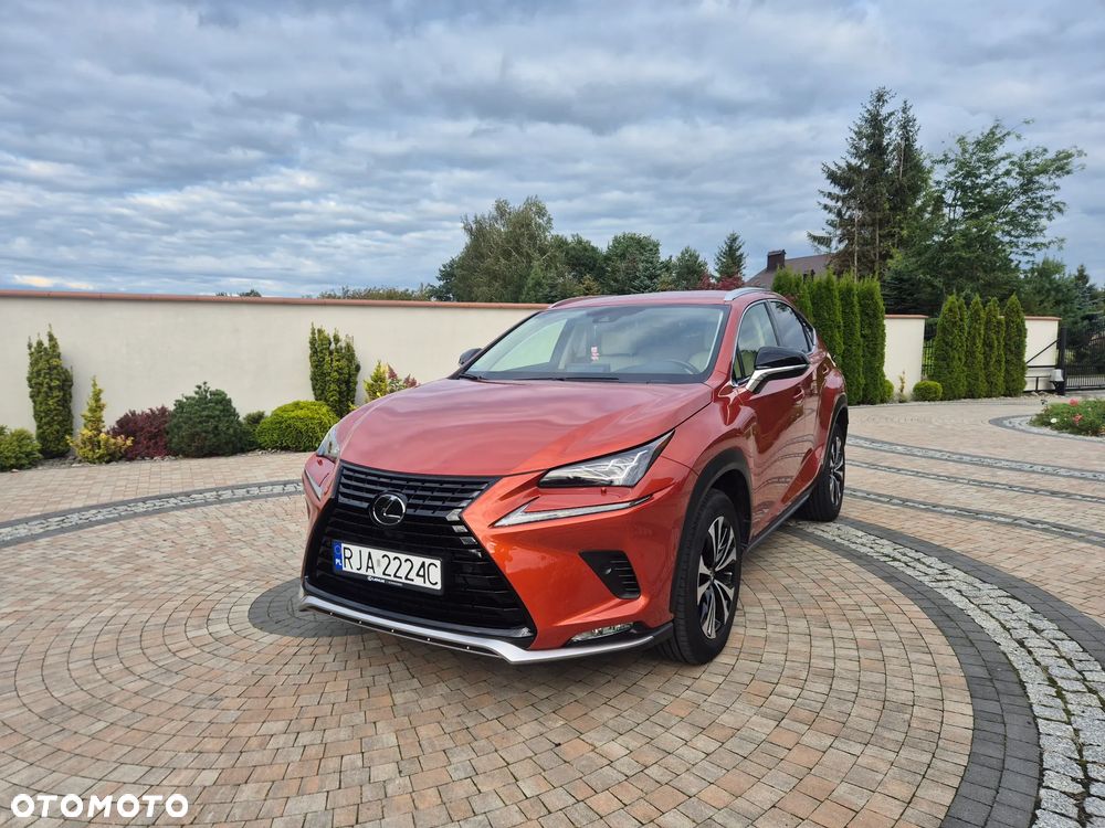 Lexus NX 300 Elegance AWD - 2