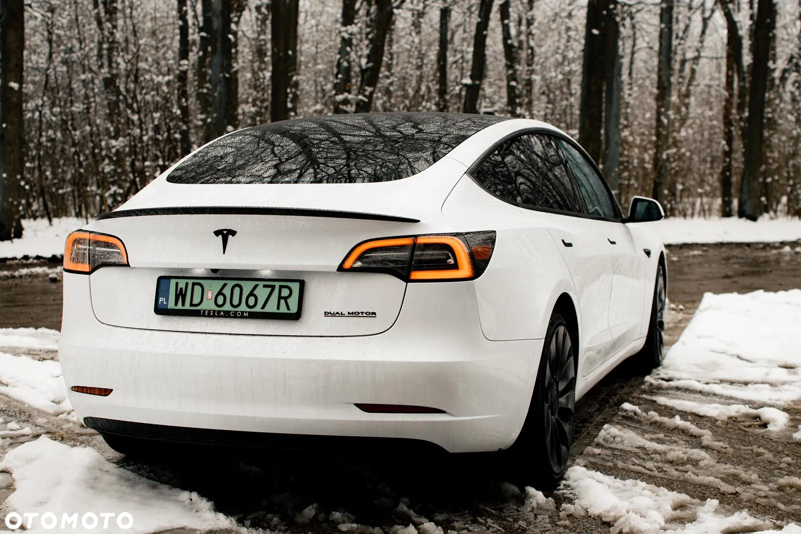 Tesla Model 3 Performance AWD - 25