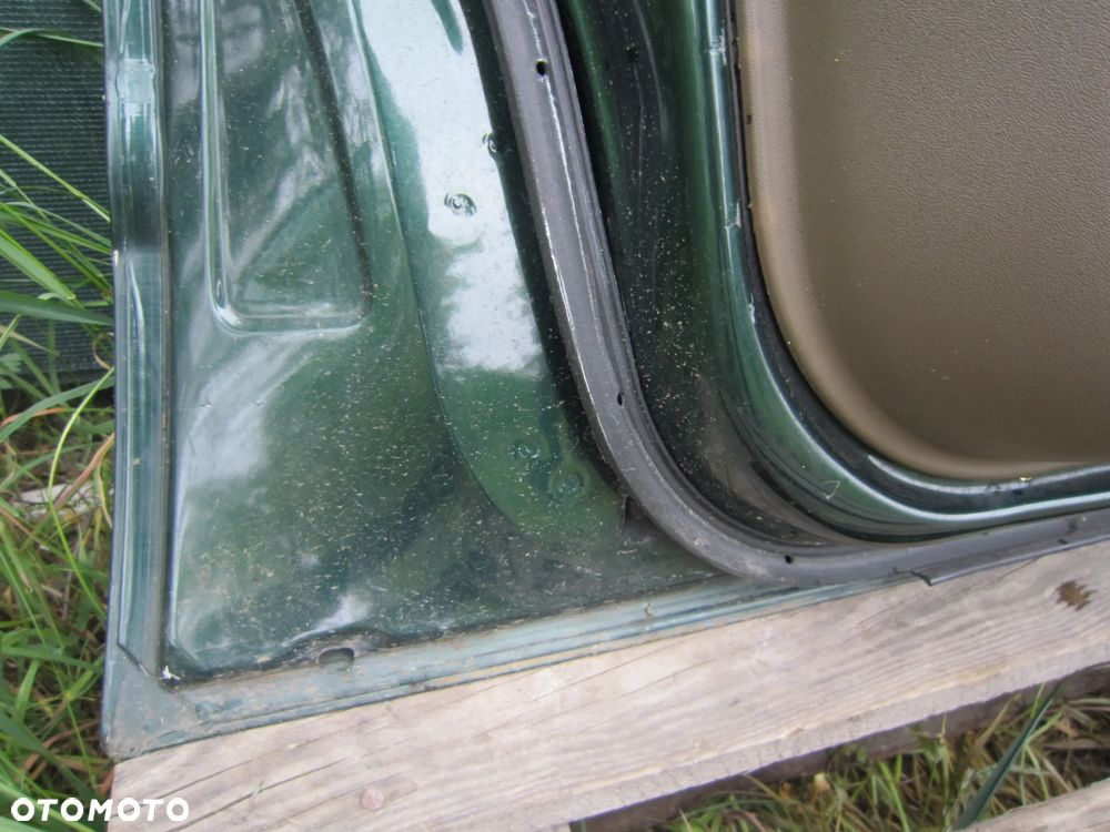 Drzwi przód przednie lewe Nissan Pathfinder R51 DW0 - 17