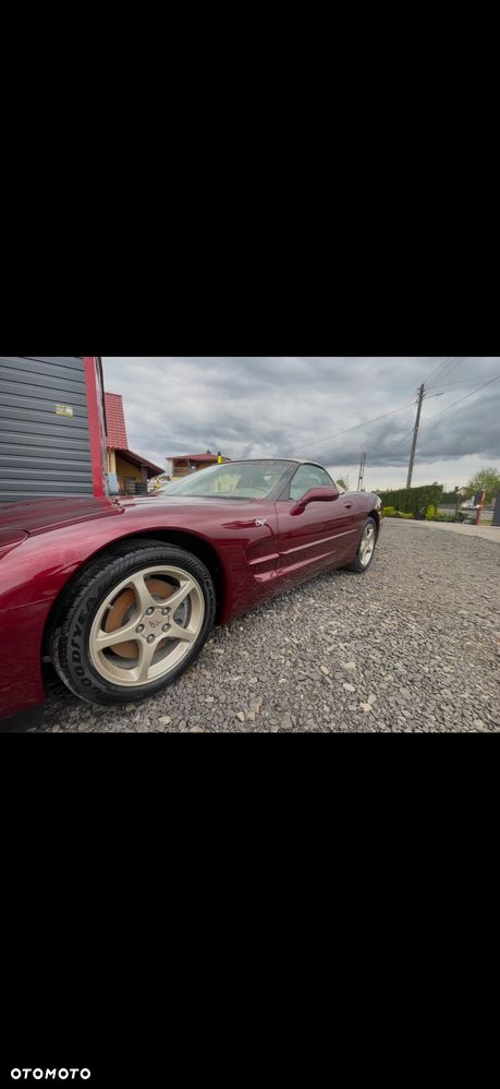 Chevrolet Corvette - 19