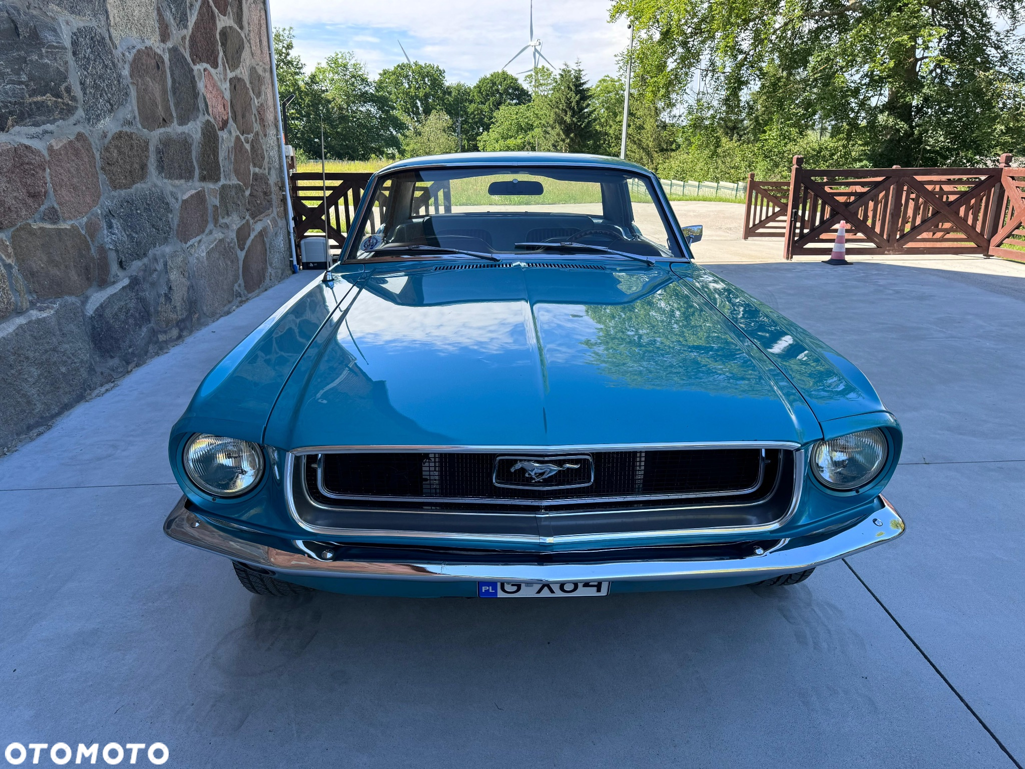 Ford Mustang - 3
