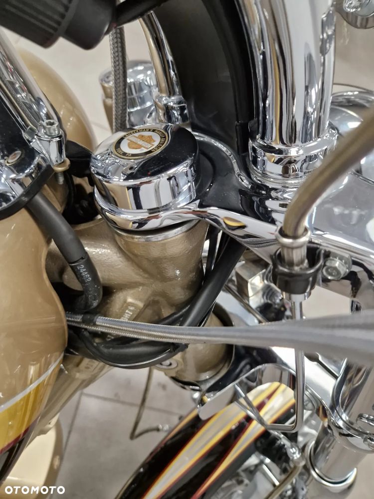 Harley-Davidson Softail Custom - 20