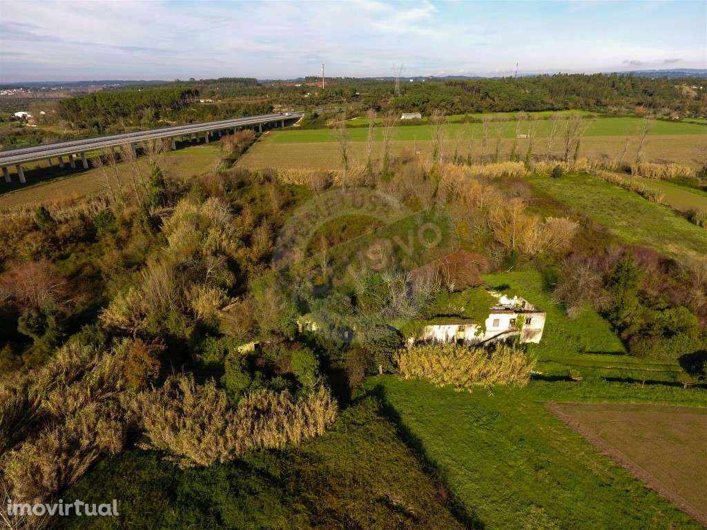 Quinta!! Perto de Coimbra! - Grande imagem: 2/21