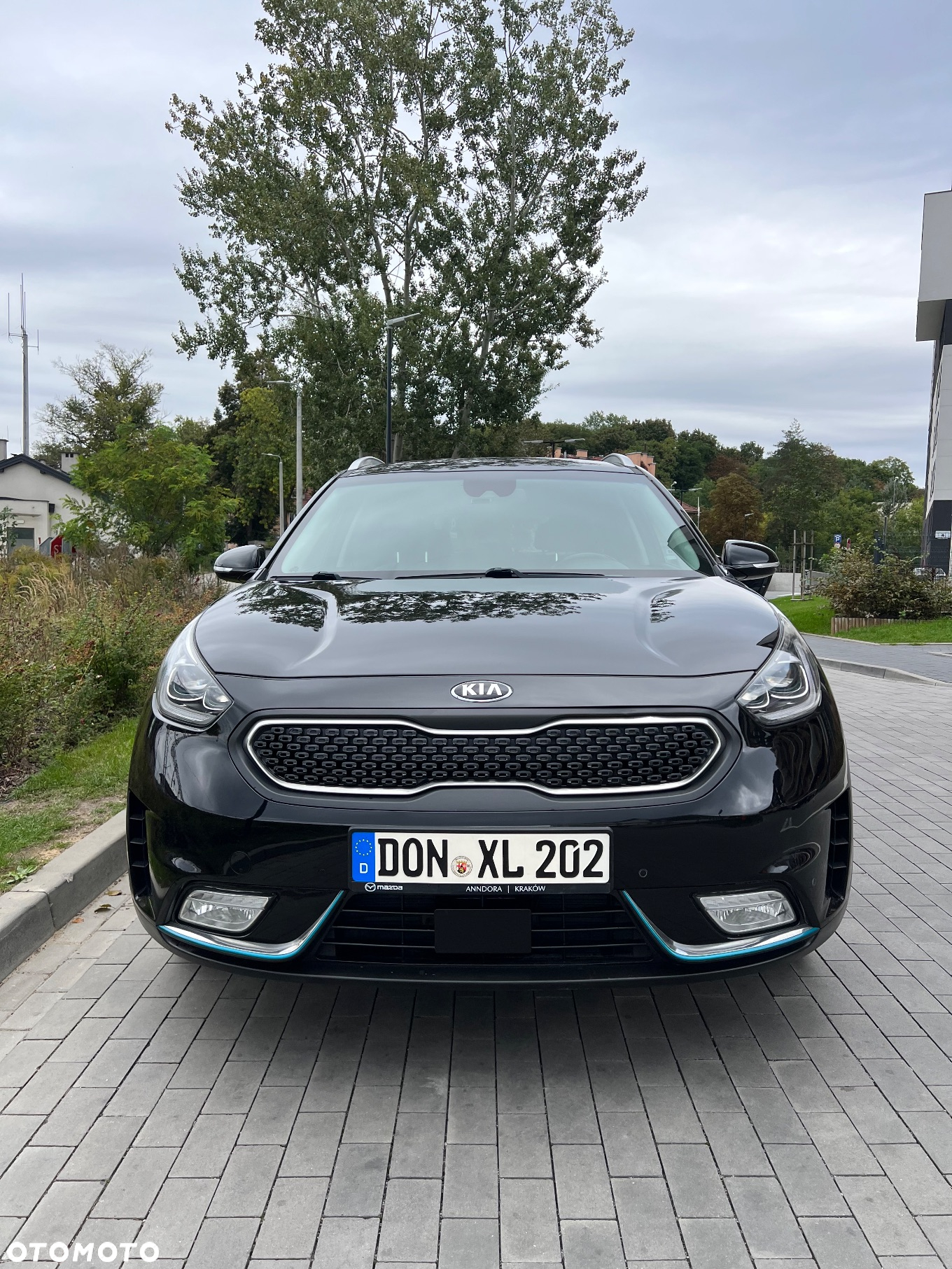 Kia Niro 1.6 GDI Hybrid L - 2