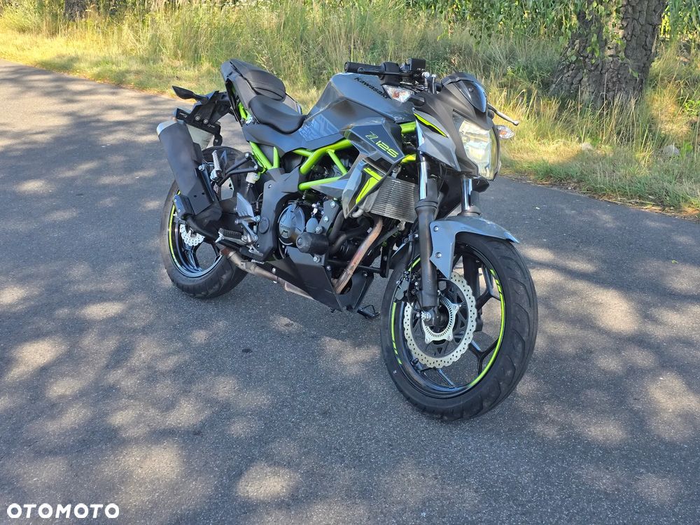 Kawasaki Z - 10
