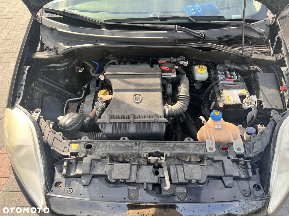 Fiat Punto - 17