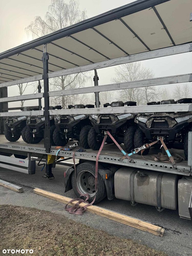 Kawasaki Brute Force - 10