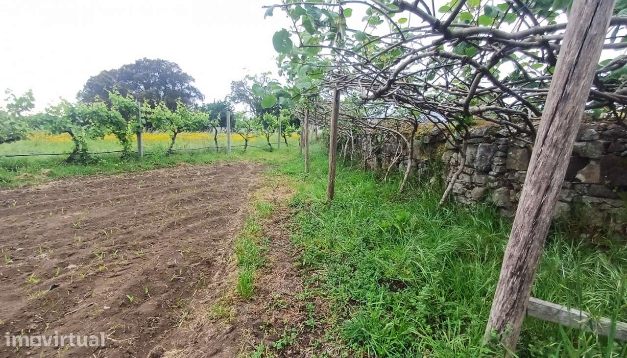 Terreno para venda, Âncora, Caminha - Grande imagem: 2/13