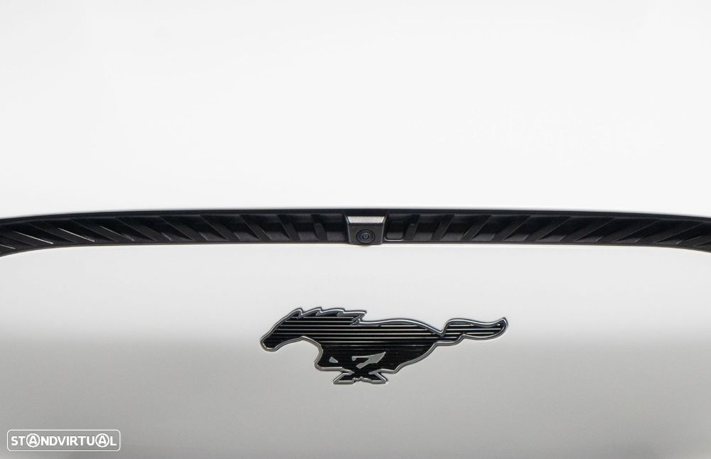 Ford Mustang Mach-E Standard - 17
