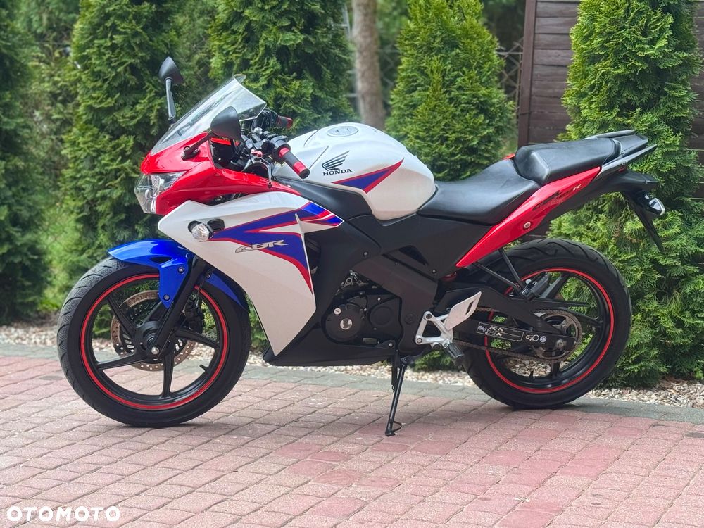 Honda CBR - 6