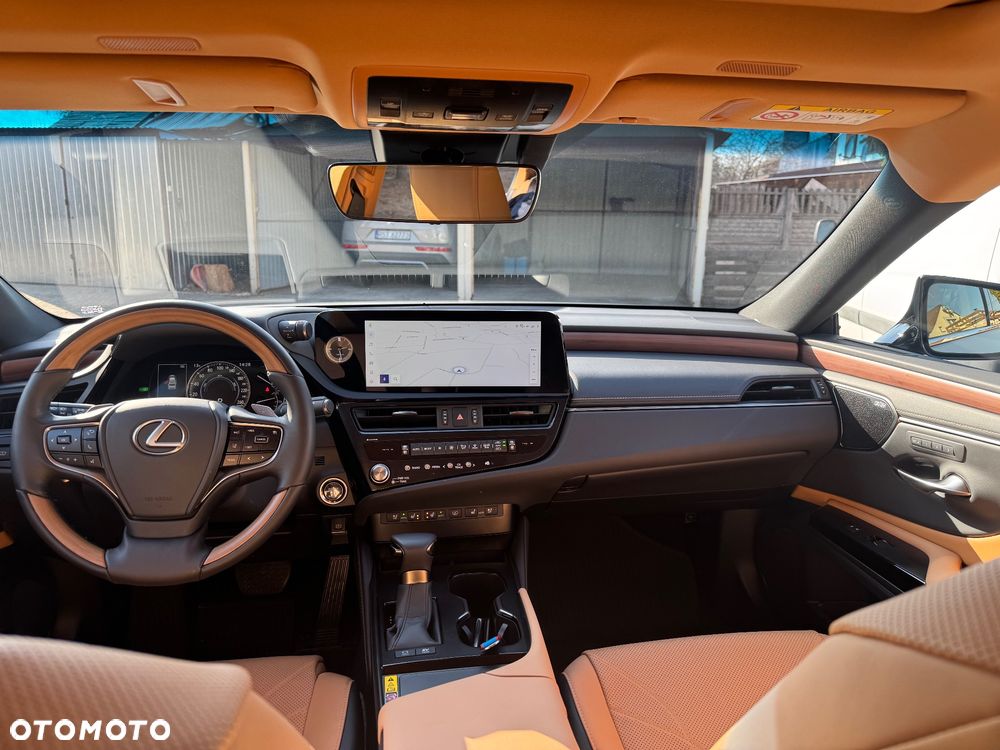 Lexus ES 300h Omotenashi - 17