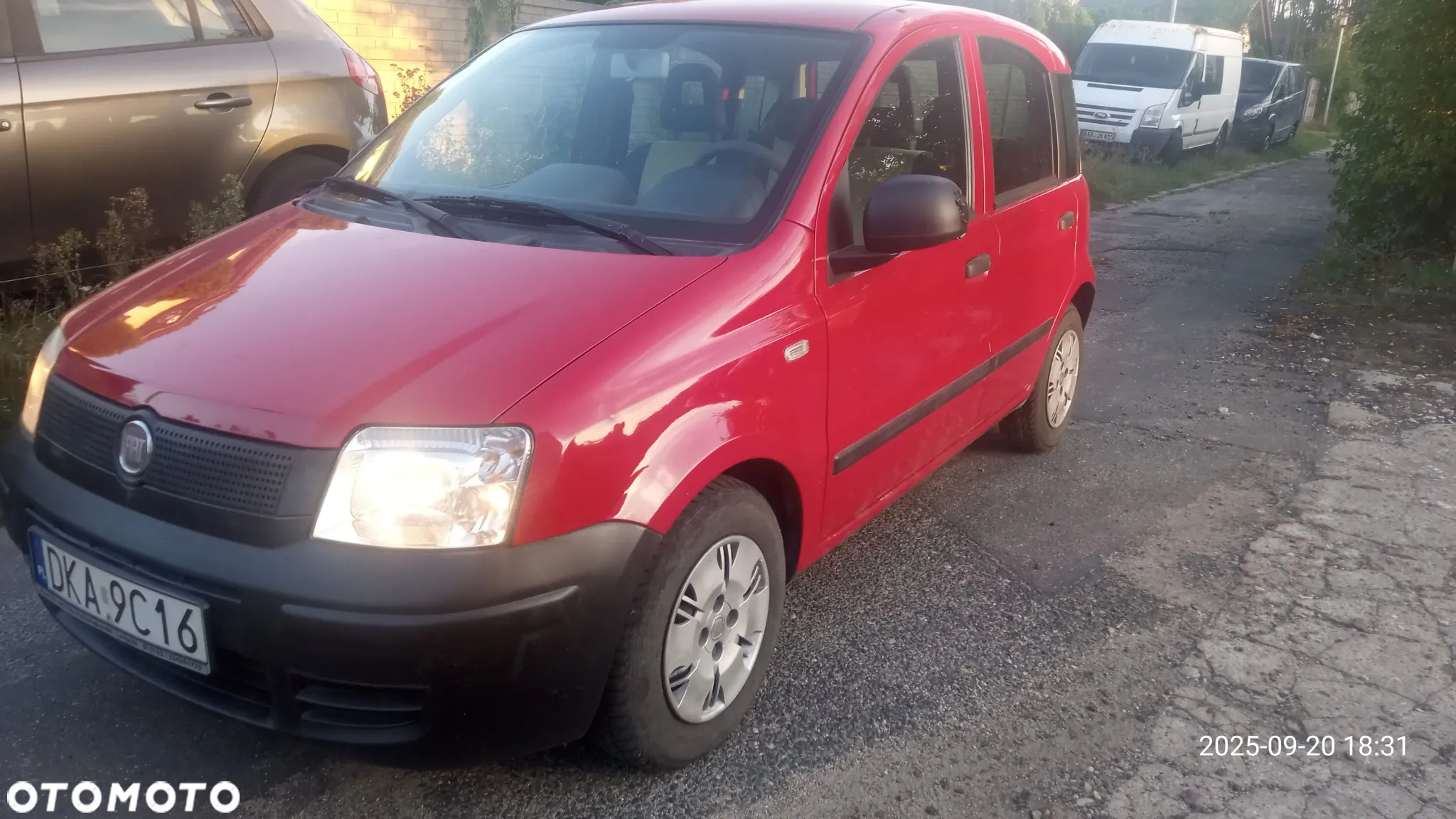 Fiat Panda - 2