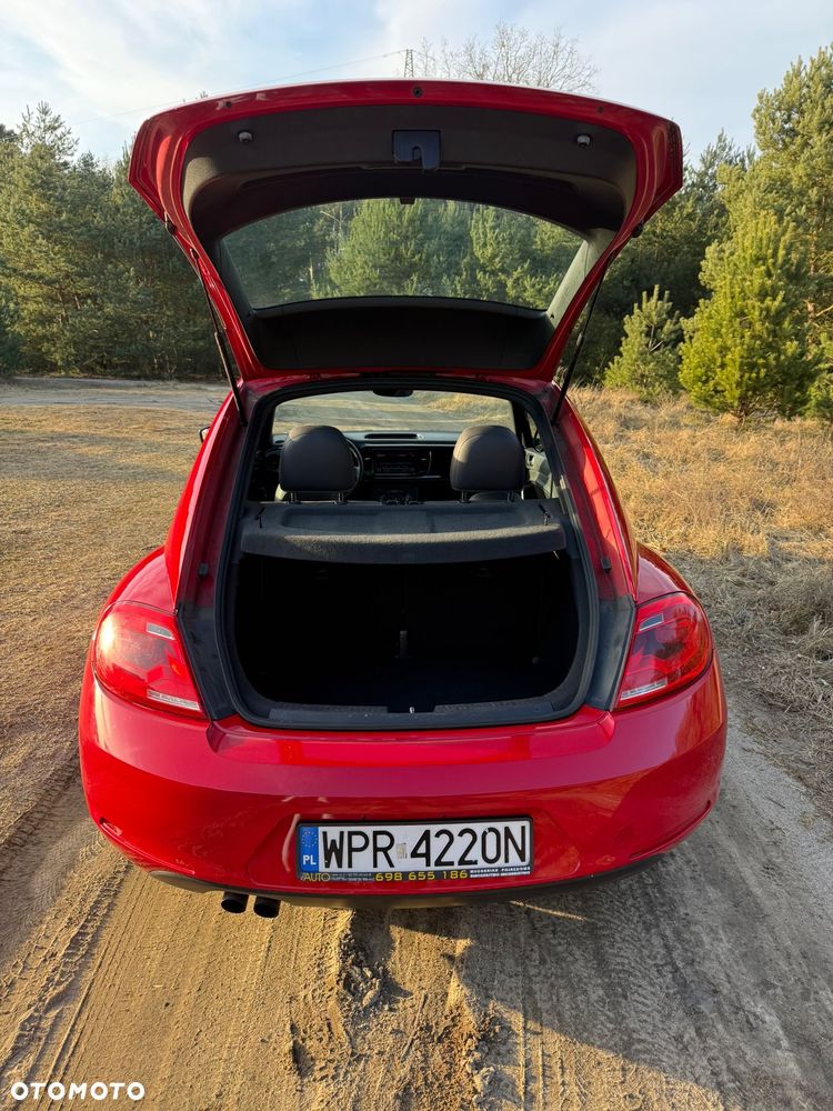 Volkswagen Beetle - 13