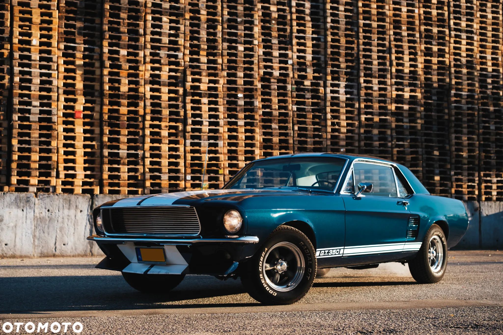 Ford Mustang - 1