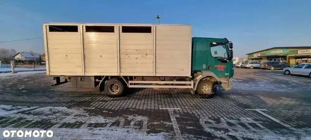 DAF LF55.250 do przewozu zwierząt - 10