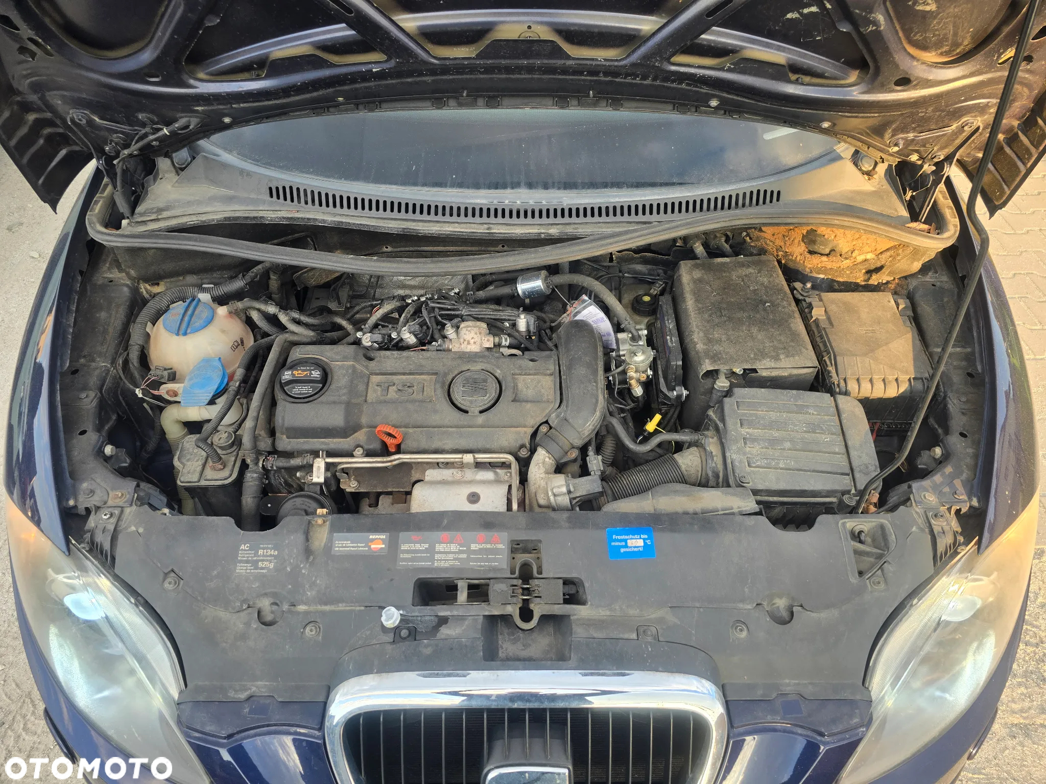 Seat Altea XL - 21