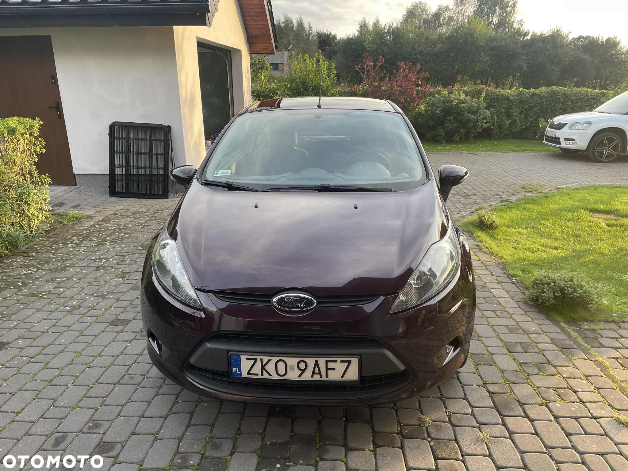 Ford Fiesta - 3
