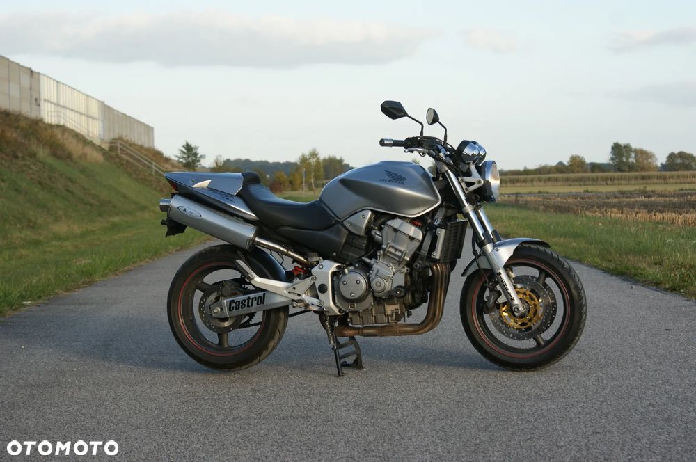Honda Hornet